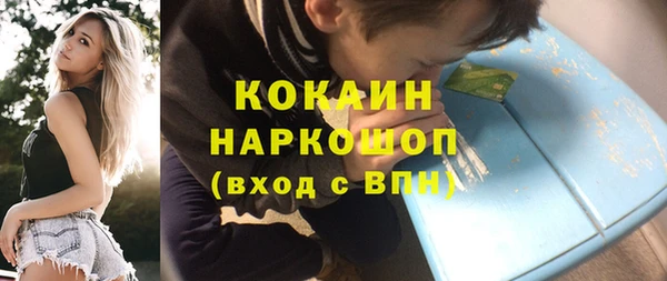СК Алексин