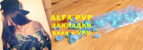 СК Алексин