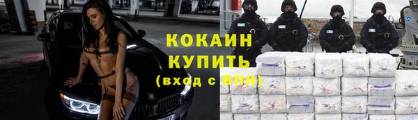 сатива Абаза