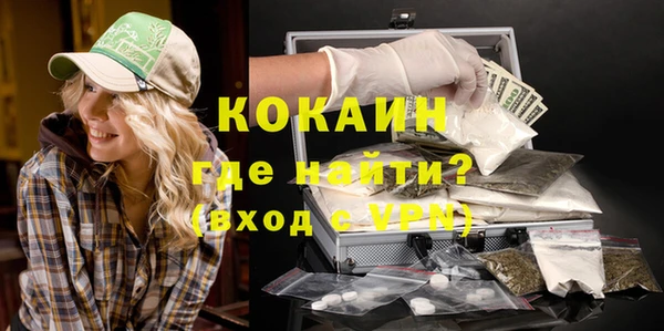 сатива Абаза
