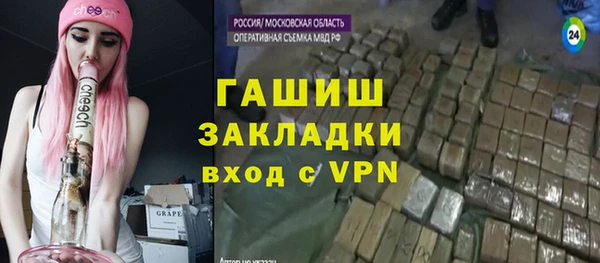 стаф Пересвет