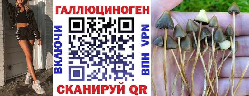 Галлюциногенные грибы Psilocybine cubensis  Ржев 