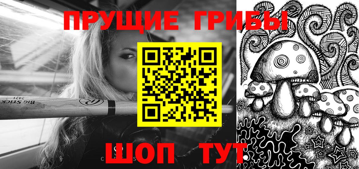 Ржев  Галлюциногенные грибы Cubensis  Вход с VPN  Псилоцибиновые грибы Psilocybe 